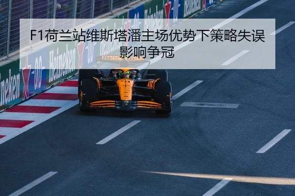 he-lan-zhan-wei-si-ta-pan-zhu-chang-you-shi-xia-ce-lve-shi-wu-ying-xiang-zheng-guan-2-695.jpg